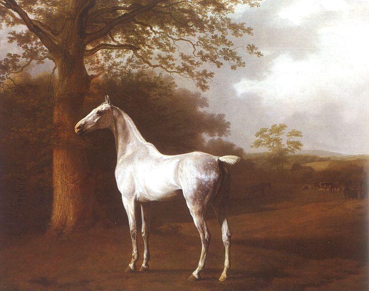 Jacques-Laurent Agasse White Horse in Pasture Sweden oil painting art